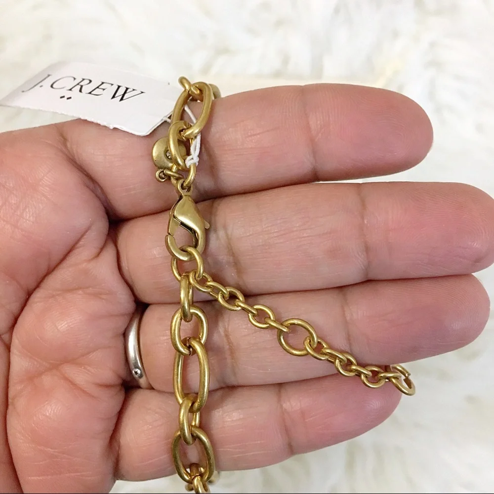 J. Crew Lucite Tortoise Link Necklace